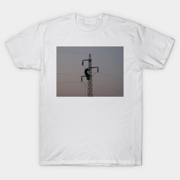 Worker on power line pylon T-Shirt by Parafull